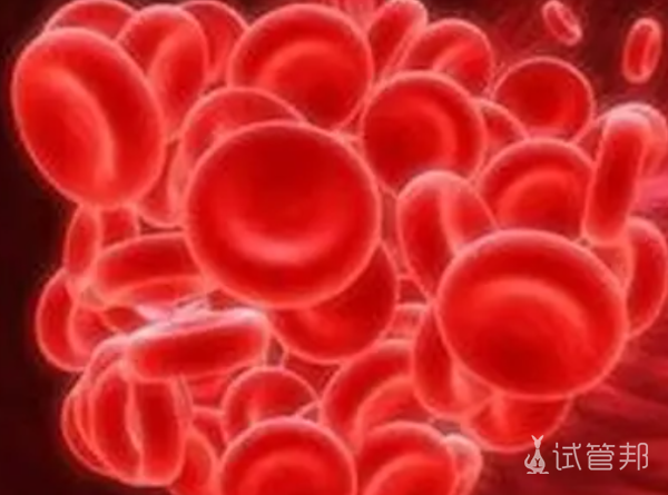 e7921edd4943426722241efb62872f42.png 血友病会影响发育吗