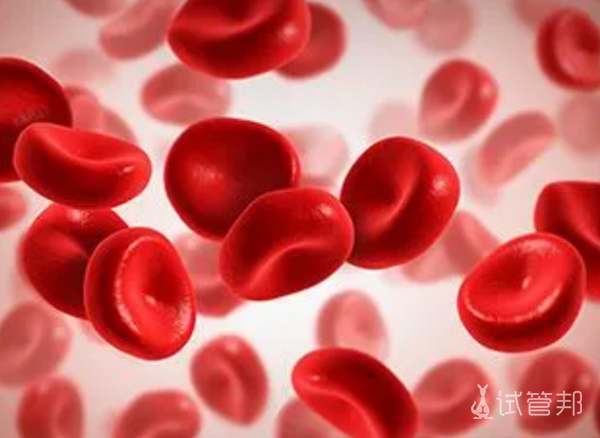 f0296614b5a9f96c754229217641612a.png 血友病a和血友病b有什么区别