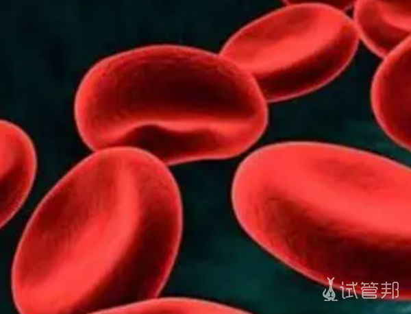 9c34b1bed9443206bdcf1eb30a4131d4.png 血红蛋白病会影响寿命吗