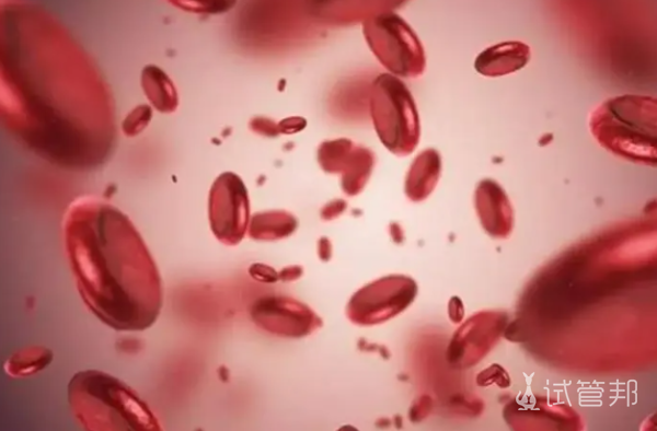 36977091f122c620978b91e52ddda357.png 异常血红蛋白病发生机理是什么