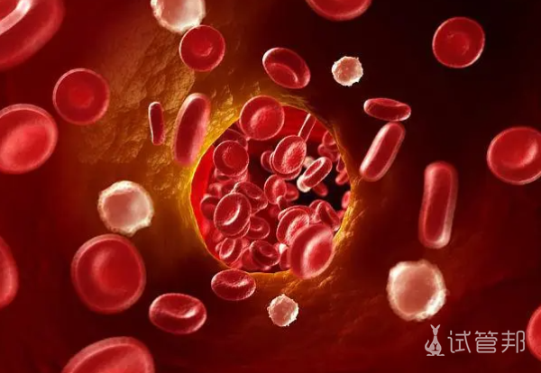 e549b08d337fb937b75c1744490ceea0.png 血红蛋白高会导致心率过速吗