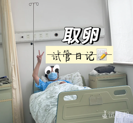 3018868829f3517b3a1adb19ca5fa785.png 个人试管婴儿流程总结希望对姐妹们有所帮助