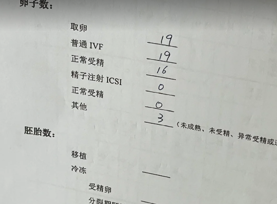 d26c2def4a3d8f683082c0713567e1a0.png 个人试管婴儿流程总结