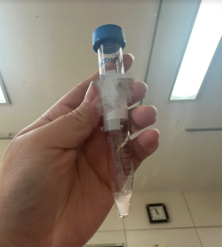 整理一下试管婴儿一路走来都经历哪些事情？感兴趣的姐妹可以看看！