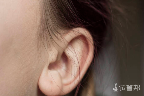 5383d8a3e64146af51b0eb1c86dfa369.png 耳朵聋基因杂合突变不能吃什么药