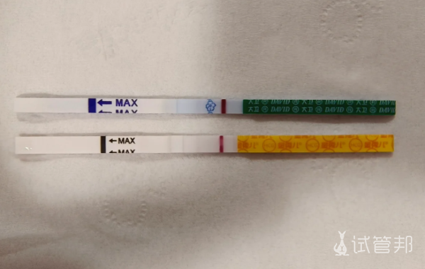 16fc450545552ef72bffcfa3de528dd6.png 人授2次上岸的真实经历花钱买的经验分享