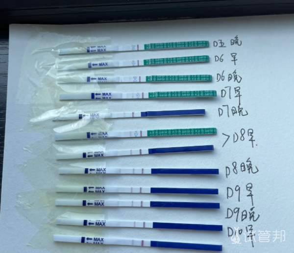 181883d0a350007ddb31448aa6437bf5.png 人工授精一次就成功了