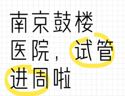 在南京鼓楼医院，做试管婴儿终于进周啦