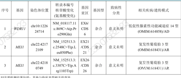 试管养囊失败找到了原因