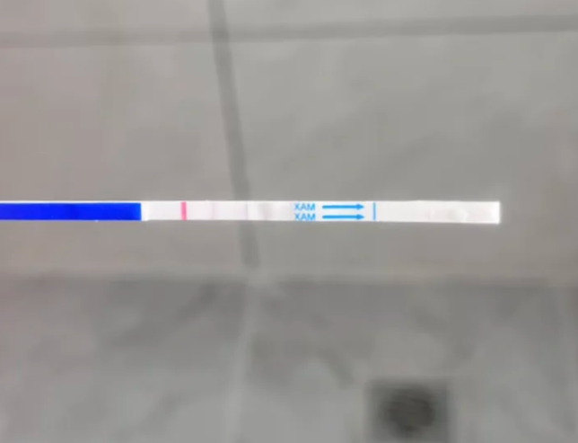 76826f851e6eace0f24d210dbd168cd7.png 移植失败后的心路历程