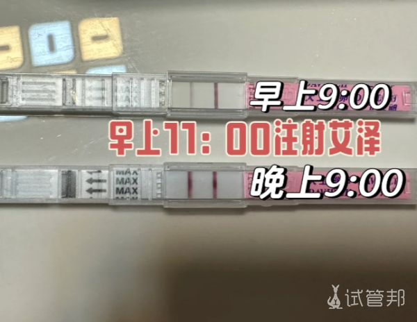 96923776cda6eac6508b05006f61cefc.png 养囊成功喜提11个小囊胚