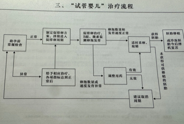 试管取卵经历分享