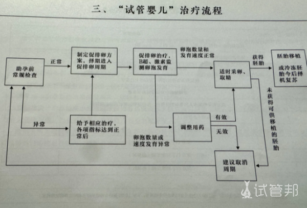 dd67b91e4dcd7860bb187a3a6dbc08cd.png 试管取卵经历分享