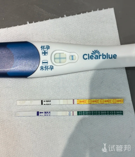 f8e200df9d3b826db4919d51325602fd.png 试管婴儿一促一移上岸分享下流程和费用