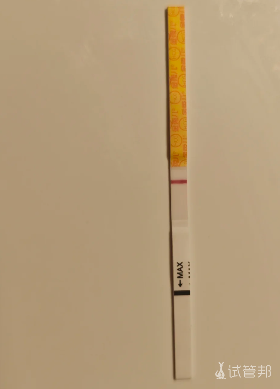 3003e7bc43c6b661a5f600e929d31171.png 人工授精二促失败