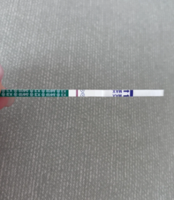人工授精失败了，准备做试管婴儿吧
