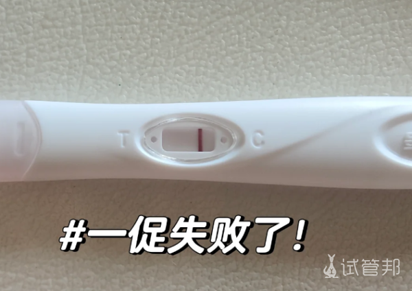 fb1cc10db8b16cf724e7712c7b33f137.png 试管婴儿一促一移失败