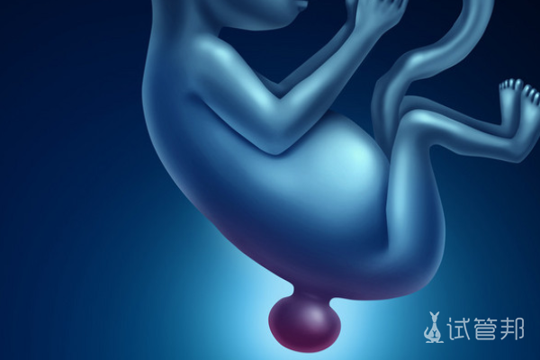 0d4c702d31d49124d045cb0308987b82.png 神经管畸形出现高风险的原因是什么