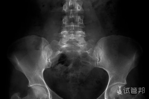 2b29917f99ed01f5341fdd08f41742ae.png 神经管畸形指的是什么