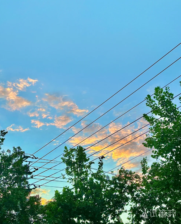 3eeff675edbf25b49c404269a9616153.png 试管移植失败面对二移我开始焦虑