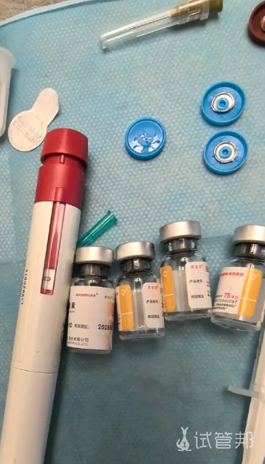 5a3ca7edb22ee090c33a4ffaefab0a20.png 促排卵的5大要点