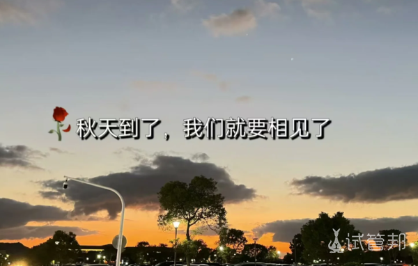 dee33e013bd249e638a27d63de0238df.png 试管婴儿取卵的详细经历分享