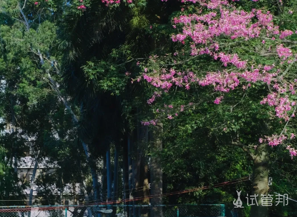 f824cee7975b26bb4d29c3e5bcbfc8af.png 做试管婴儿我想把这些事告诉你们