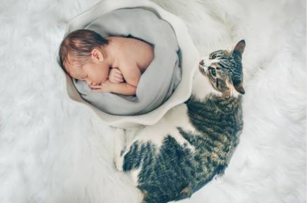 6a7d1bfa4f8bc23f8818bea043e0da8d.jpg abo溶血症可以避免吗