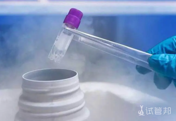 c68a1a7cfb1686f4fa8f8949b02a5280.png 试管长方案和短方案的区别