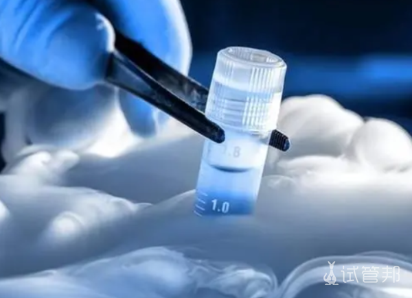 d3391794f7ea7e4cda4cd780dff76b1a.png 试管婴儿需要多少钱