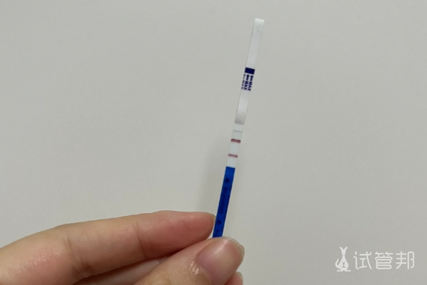 614388e3b9768bfa7809f8bce8c8aa7a.png 卵泡期出血≠排卵期出血你了解吗