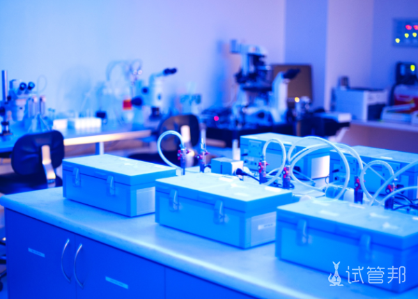 bd62f8cf31fa709a285a234e8717f007.png 试管婴儿的全部流程需要多长时间