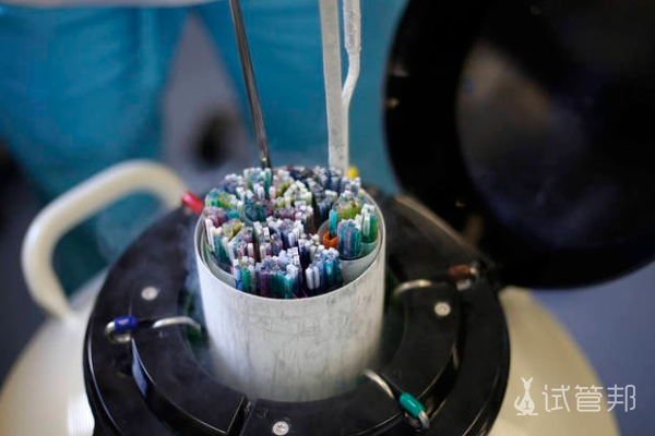 a660f68b5e50f14792831b14f2e7f3c9.png 试管婴儿鲜胚移植好还是冻胚移植好