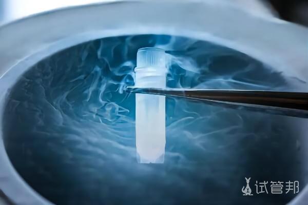 a67d4bdd8fc7361d4a3810cda1bd3ba3.jpeg 试管婴儿囊胚鲜胚冻胚的区别是什么