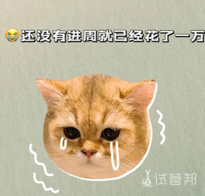 3cea68432e6e0c654888d1d33ad33a7f.png 还没进周只是降调居然已经花了这么多钱了