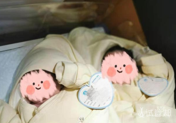 f0d9a5df15e0984c444047933d4f9a2d.png 二代试管婴儿一次成功喜提双胞胎的幸福经历分享给大家