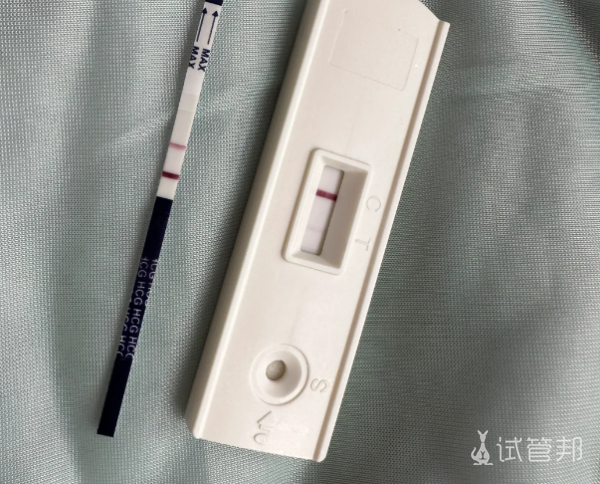 378c97ecca3805bb7c004ae2e6537360.png 移植后的每一天我都经历了什么