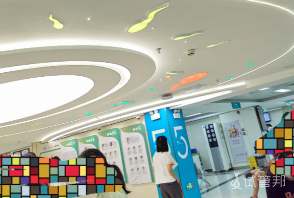 44d6a866752d300918f4f8c4f1eea7ca.png 做试管婴儿前我们需要做哪几件事才能顺利好孕呢