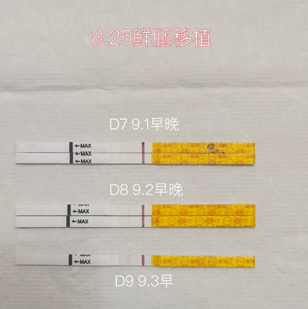 38岁单身女的试管之旅一次成功迎来我的小天使