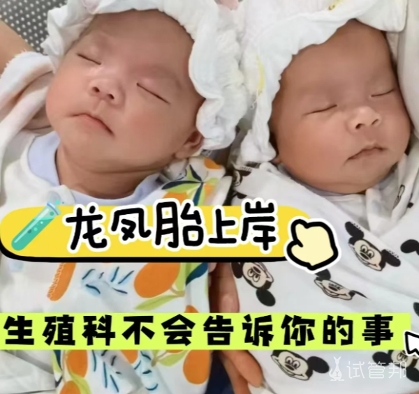 9563c1bf9d692b3051906a28a4501d8a.png 二促一移龙凤胎上岸