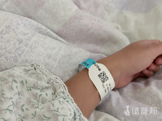 600f1cbdf3e88fbe5203d49674404145.png 胚胎移植一个比两个成功率更大吗