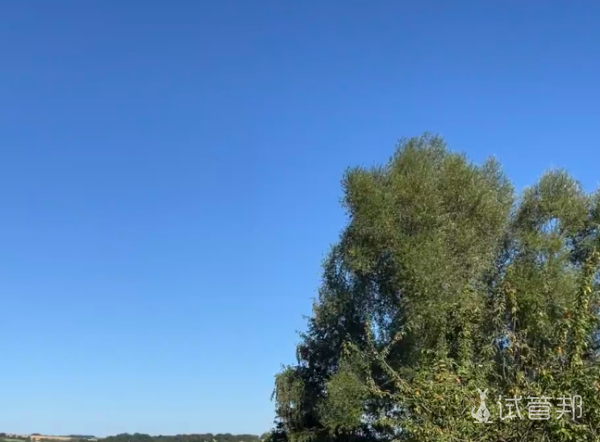 0ba04e731b1e0e98b5163f61539f37f9.png 久备不孕我要不要回国做试管婴儿