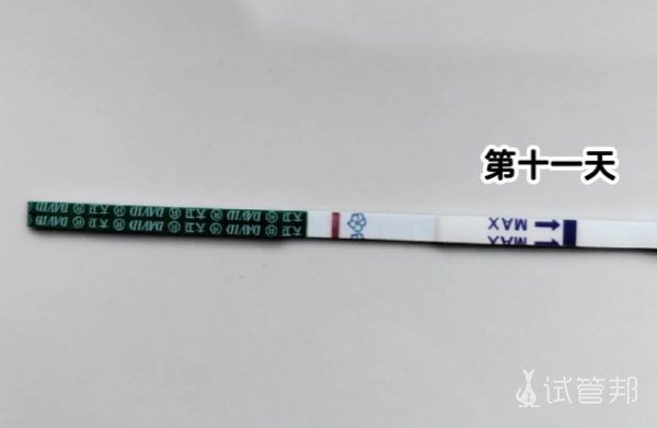 2a00b8da50d403aaa9af57f1f8d0105d.png 人授第十一天的真实感受