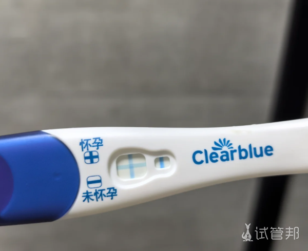 200db4ee33ad3c5fdbe6af998edbc76f.png 多囊弱精本打算做试管没想到自然怀上了