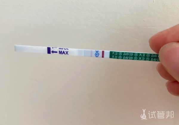 2018eb8505e279a6a0700f2df7cae461.png 试管这一路好难好在一切顺利