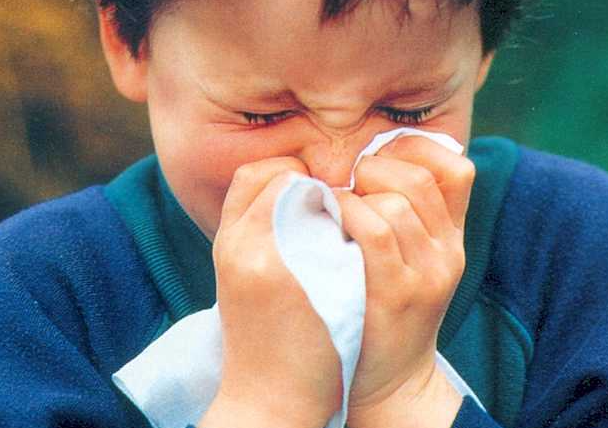 99426750b902a2935dbd4111f45d91b7.png 纤毛不动综合征试管成功率多少