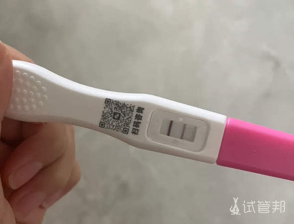 defc416585db7daee77507da3df77117.png 试管婴儿一次成