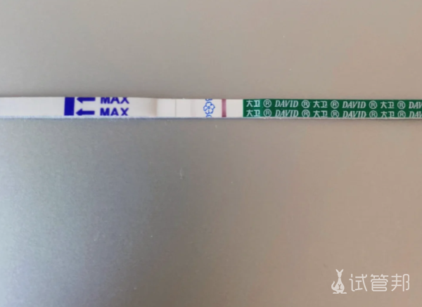a9727e204695cba3f86169d7f5c5bab9.png 试管婴儿鲜胚移植第9天好像测出来了
