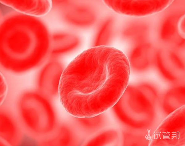 343eaec6fb5ff47aea98a9b777dc7d6d.png 血红蛋白病与地中海贫血的区别