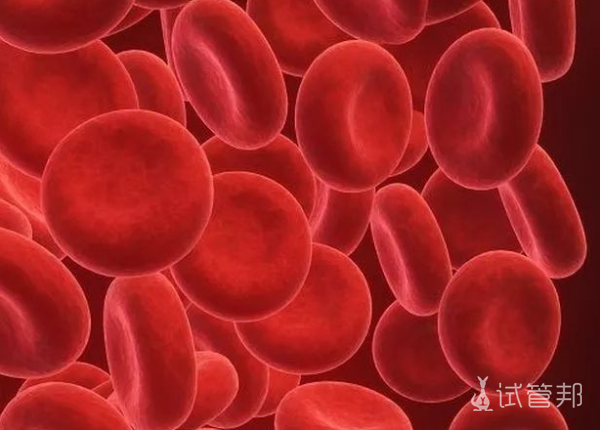 531f87bfdd295cf2ea814e053886375c.png 血红蛋白偏高是什么病